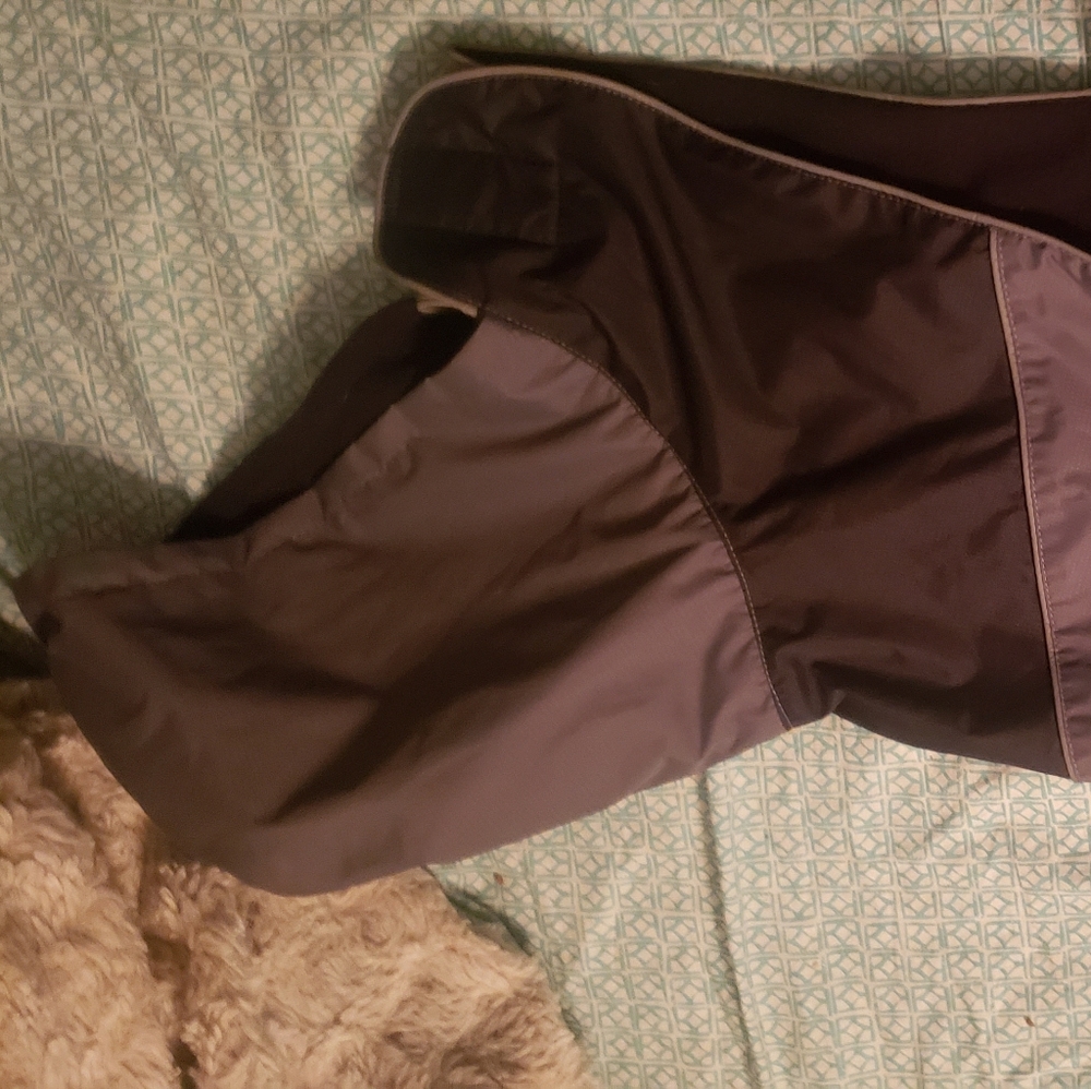 Dog Wind Breaker